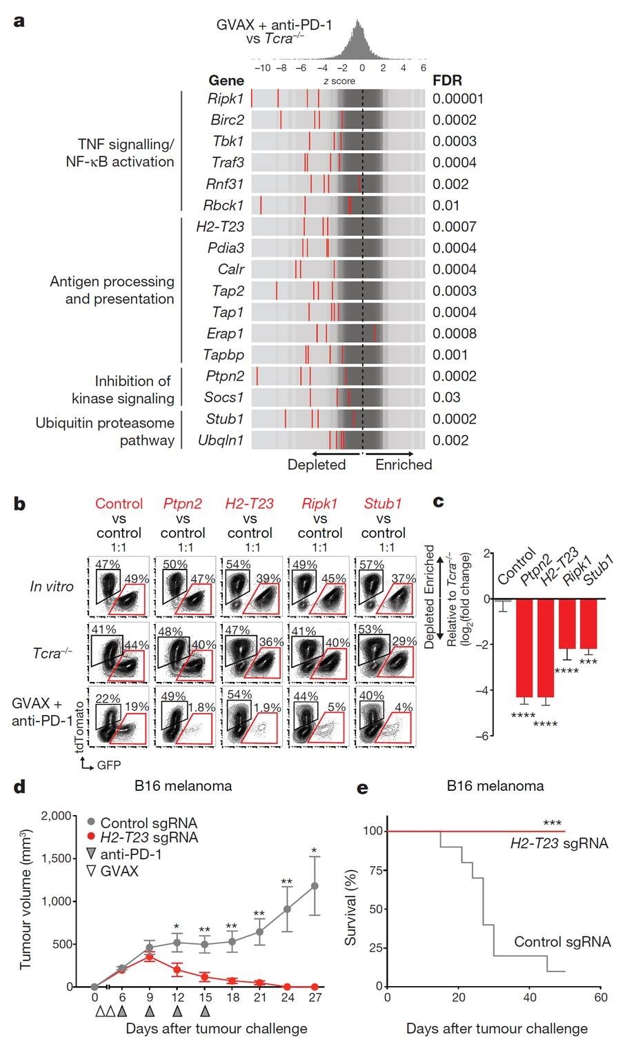 筛选肿瘤免疫治疗的潜在靶基因